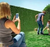 Privacy with Grass Fence